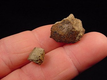 Two fragments of the NWA 3160 Meteorite.