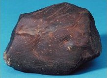 NWA 482 lunar meteorite before cutting. View 1